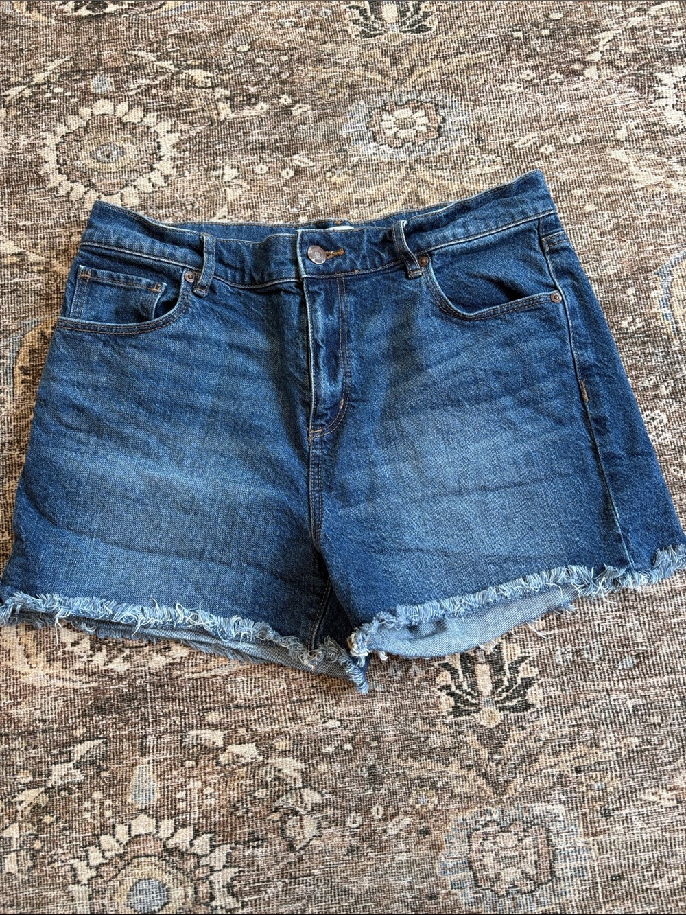 LOFT Blue Denim Frayed Hem Jean Shorts